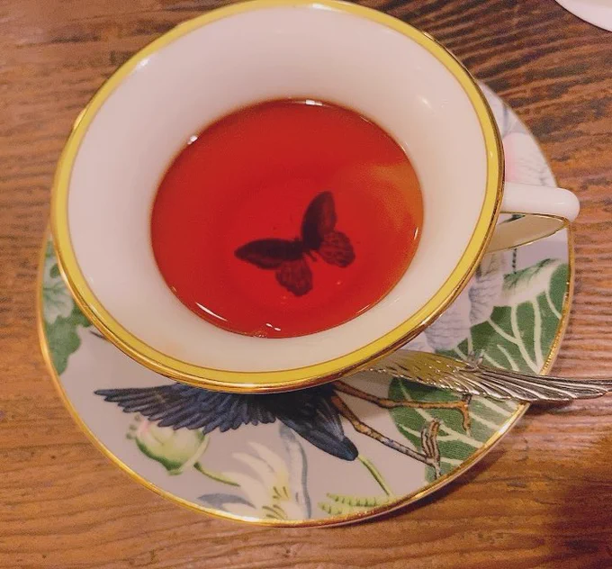 藤村さんに教わった喫茶店で茶をしばきました。素敵な空間と美味しいケーキとお茶でした 