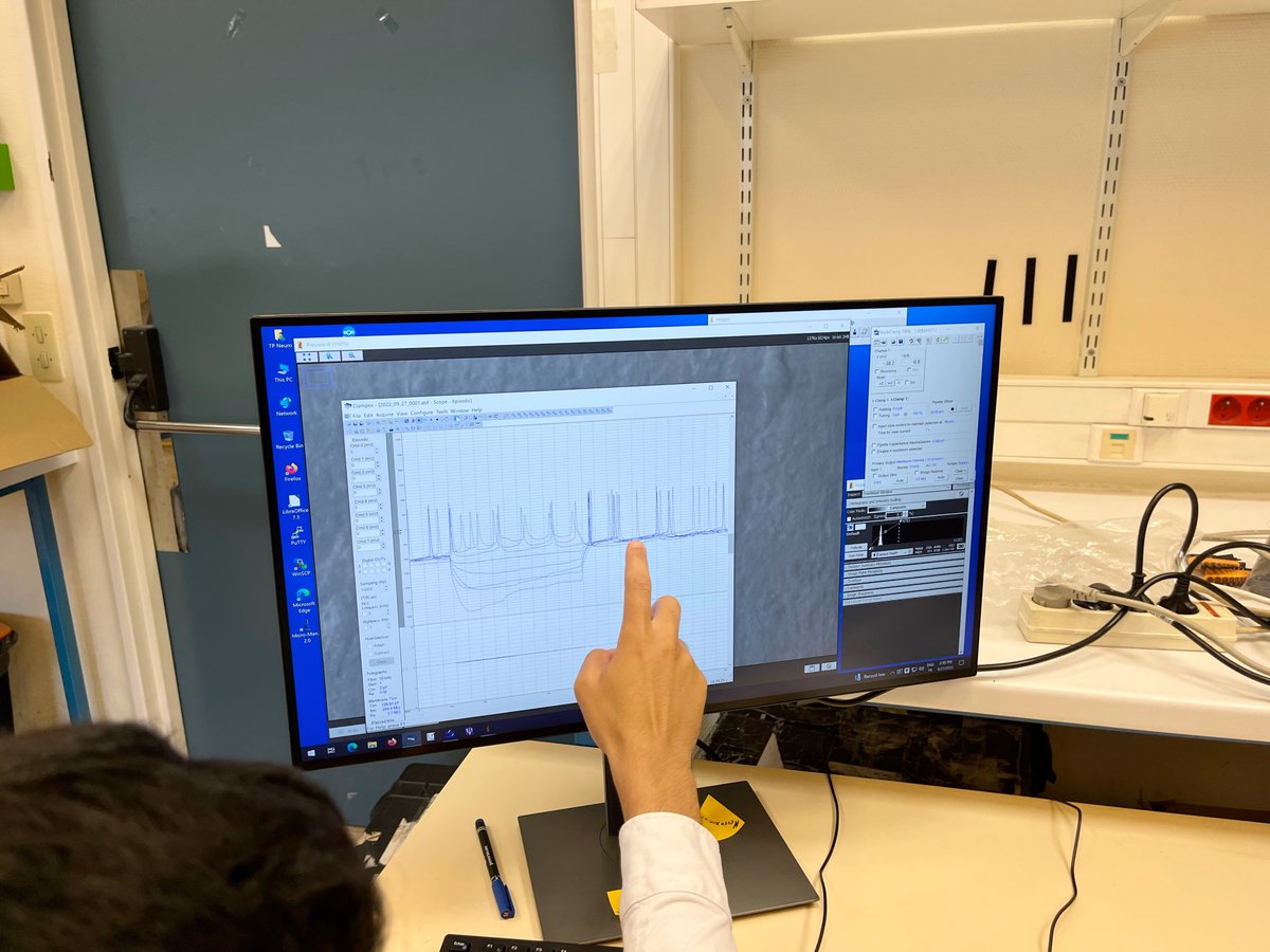 Biologie_ENS's tweet photo. 🧠Neurophysiologie M2 : après avoir réussi à 🔧monter les postes d'électrophysiologie, les étudiant·es ont 📈enregistré en patch-clamp des neurones vivants! Merci aux moniteurs Antoine Sicard et Othman Lahrach de les accompagner dans cet apprentissage #BioENSMaster #BioENSProfs https://t.co/siaRnZxoZ3