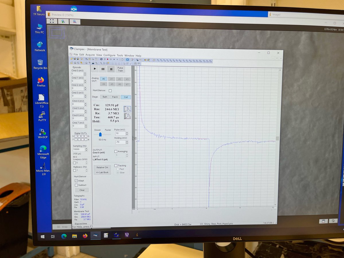 Biologie_ENS's tweet photo. 🧠Neurophysiologie M2 : après avoir réussi à 🔧monter les postes d'électrophysiologie, les étudiant·es ont 📈enregistré en patch-clamp des neurones vivants! Merci aux moniteurs Antoine Sicard et Othman Lahrach de les accompagner dans cet apprentissage #BioENSMaster #BioENSProfs https://t.co/siaRnZxoZ3