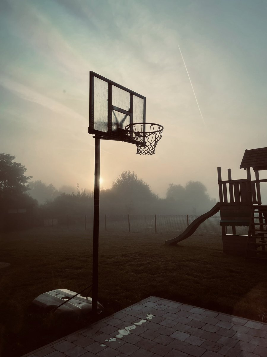 ornet2614's tweet photo. #basket #vue #jardin #home #garden https://t.co/QCPn9A4Bh4