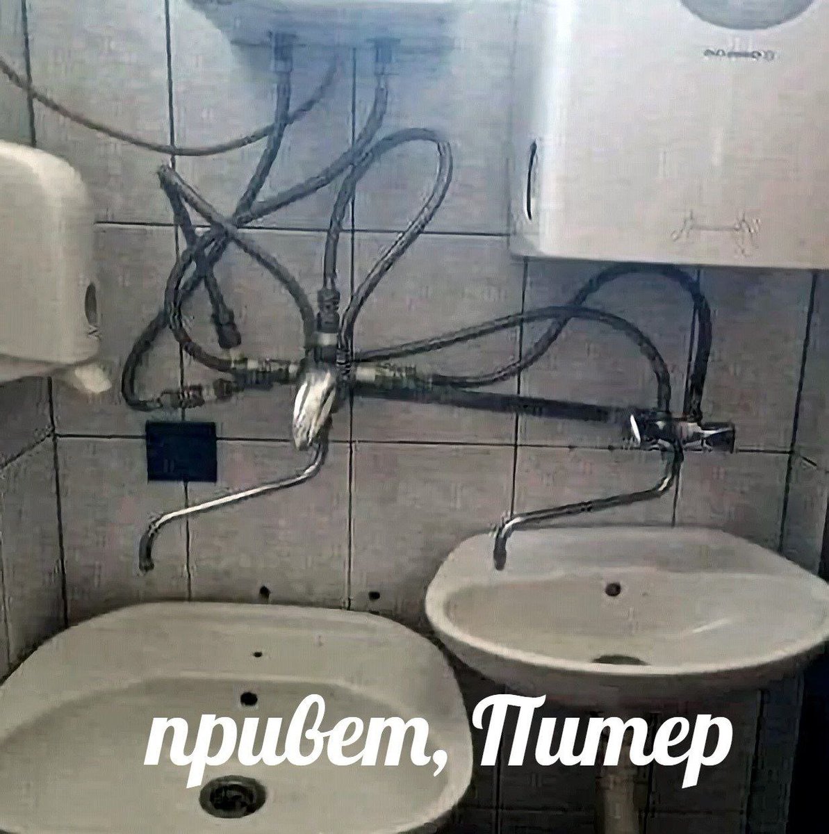 RussianMemesLtd's tweet photo. hello, Peter https://t.co/c0a8TnUEqh