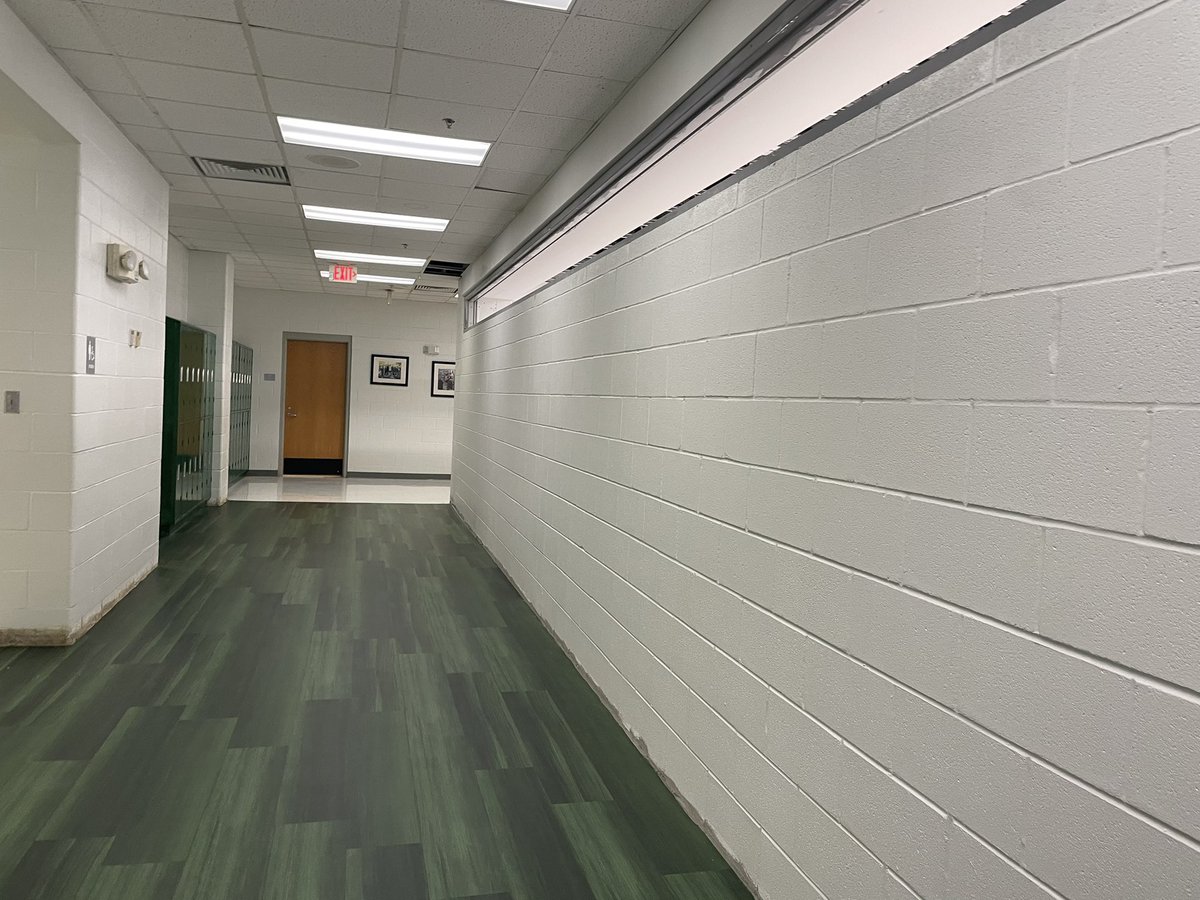 I won’t state my opinion on the green floors but the new wall in school is looking pretty solid. As cell membrane, I understand the importance of a strong foundation which is why I am made of a bilayer of phospholipids. #EukaryaElection2022