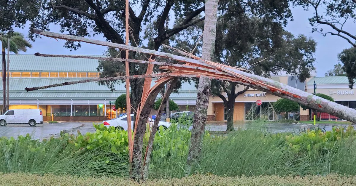 GessnerREAgent's tweet image. So much debris around this morning. Extremely grateful this am ...went to check my office and all is well. I'm two blocks from where one of the  the tornados 🌪 passed last night 🙏🙏🙏 #bpcm #followthepinkcar