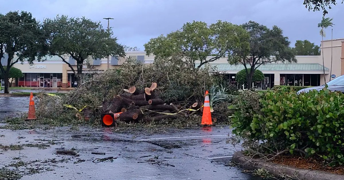 GessnerREAgent's tweet image. So much debris around this morning. Extremely grateful this am ...went to check my office and all is well. I'm two blocks from where one of the  the tornados 🌪 passed last night 🙏🙏🙏 #bpcm #followthepinkcar