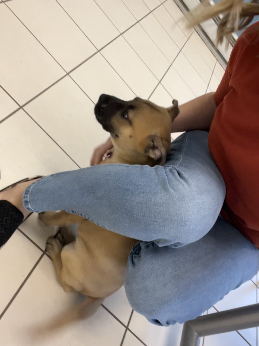 Amanda Becker tweet media