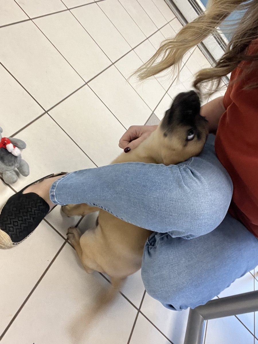 Amanda Becker tweet media