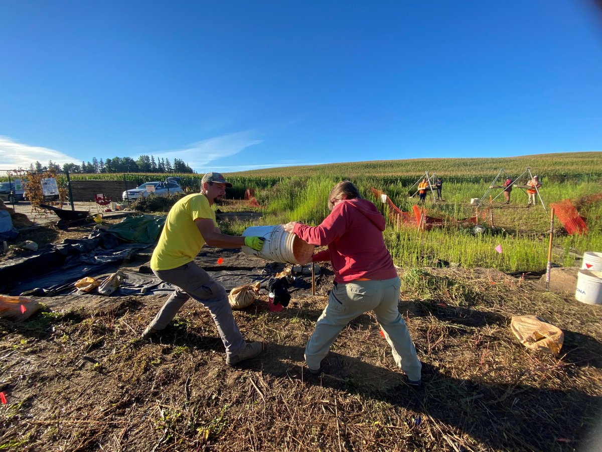 ARA Archaeology tweet media