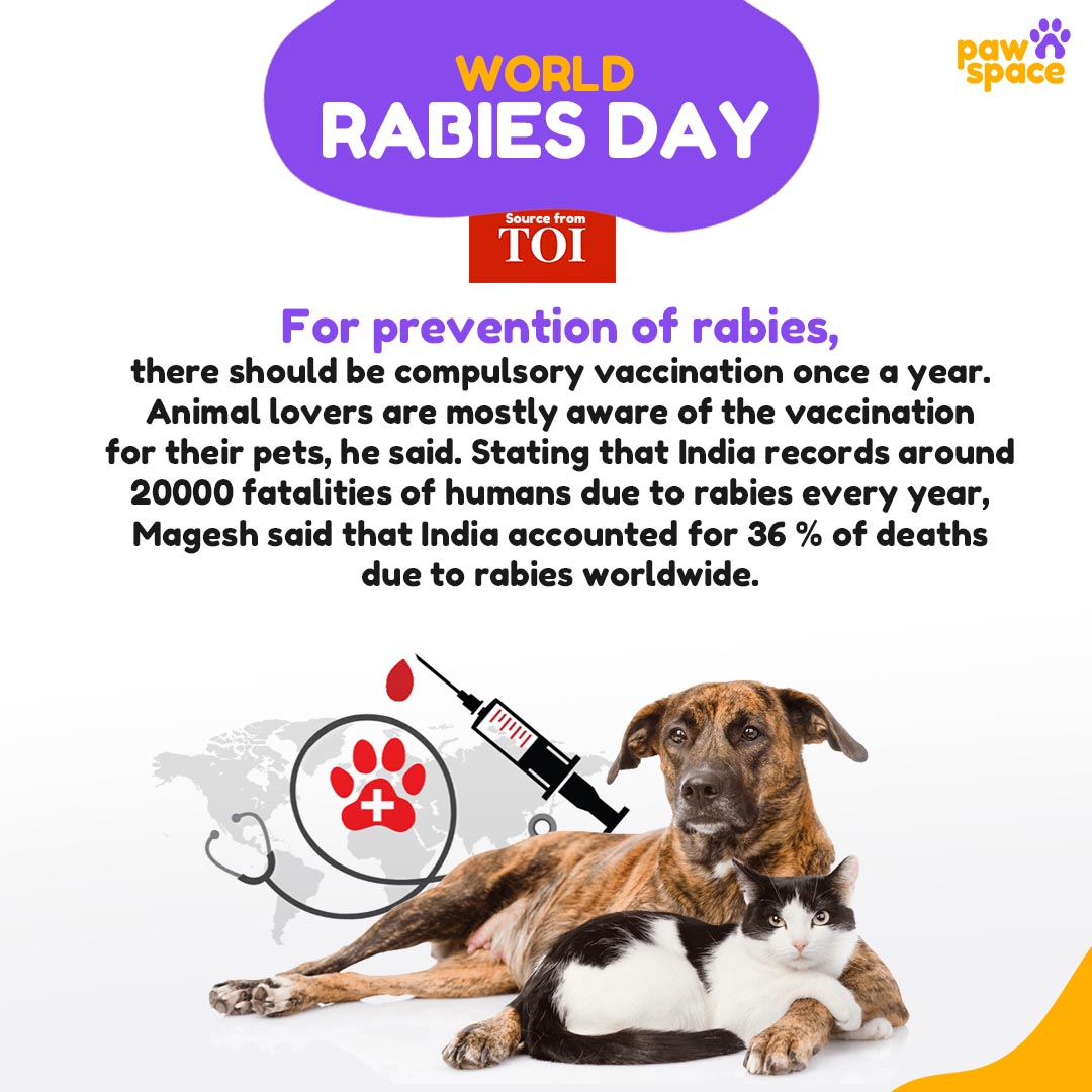 Can Dogs Transmit Hpv To Humans