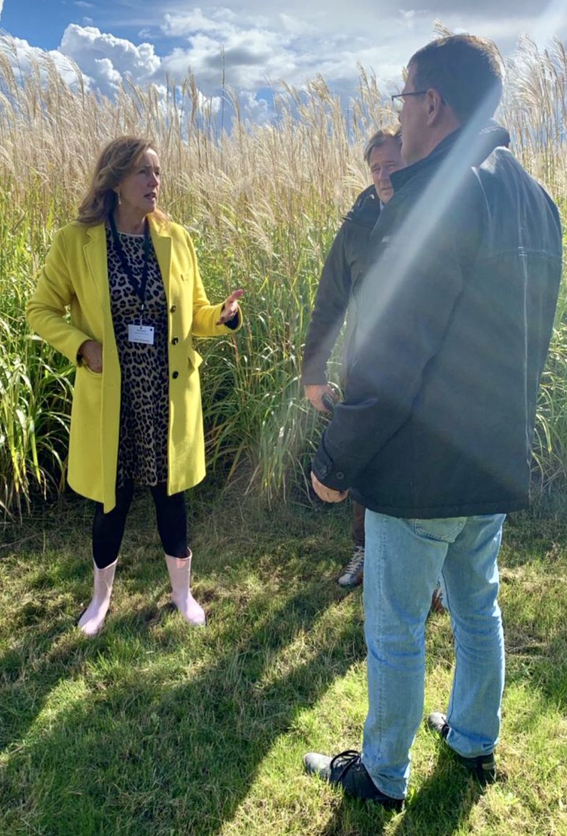 Op expeditie in het #Olifantsgras  <a href="/MiscanthusHmeer/">Miscanthusgroep</a> Mooi om te zien dat we in <a href="/haarlemmermeer/">Haarlemmermeer</a> een duurzame manier hebben om CO2 op te vangen en op te slaan in heel veel verschillende producten! #bouw #infra #papier eenvandaag.avrotros.nl/amp/is-olifant… <a href="/HeinvElderen/">Hein Van Elderen</a> <a href="/GertJanPetrie/">Gert-Jan Petrie</a>