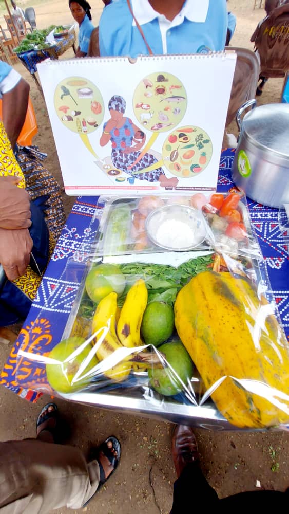 karlfredpaul's tweet photo. Super visite du projet PNDPE à Bopa dans le Mono. Nous améliorons les interventions des services de nutrition et de développement de la petite enfance. Magnifique. Merci au @gouvbenin et au #SP_CAN pour la confiance faite à Plan. #FoodSecurity #ODD2 https://t.co/0cZWo8e8eb