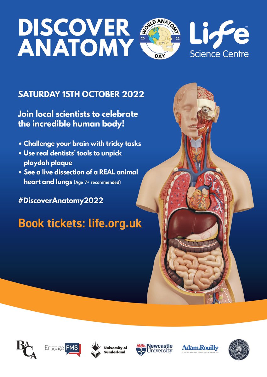 Just over 2 weeks to go! 
Super excited to be involved in this event with great colleagues from <a href="/UOSMedicine/">University of Sunderland School of Medicine</a>  <a href="/NewcastleMedSch/">Newcastle Med School</a> @kscotcher <a href="/emilyanatomy/">Emily Green (She/Her)</a> <a href="/EvieMDonald/">Evie Donald</a> <a href="/debrapatten/">debspatten</a> <a href="/mrharrymiles/">Harry Miles</a> @DocMatthan #worldanatomyday #publicengagement <a href="/BACA_Anatomy/">BACA</a> <a href="/anat_soc/">Anatomical Society</a> <a href="/AdamRouilly/">Adam,Rouilly</a>