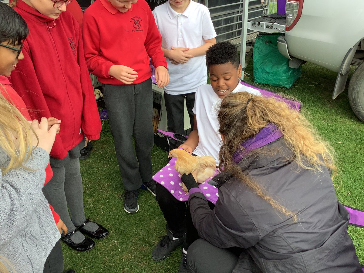 6_stm's tweet photo. @6_stm loved seeing the farm animals this afternoon! https://t.co/xNNXtOOvm0