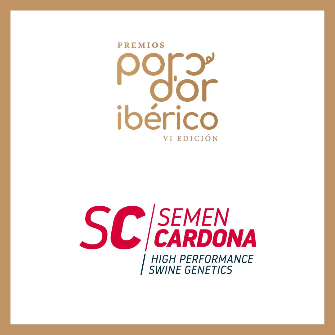 bdporc's tweet photo. ¡Hoy os presentamos a los patrocinadores de la Gala Premios Porc d'Or Ibérico!🙌🏼
¡Muchas gracias a todos por hacerlo posible!💛
#Provimi #Rotecna #Secanim #SemenCardona https://t.co/TyfeCpqPpo