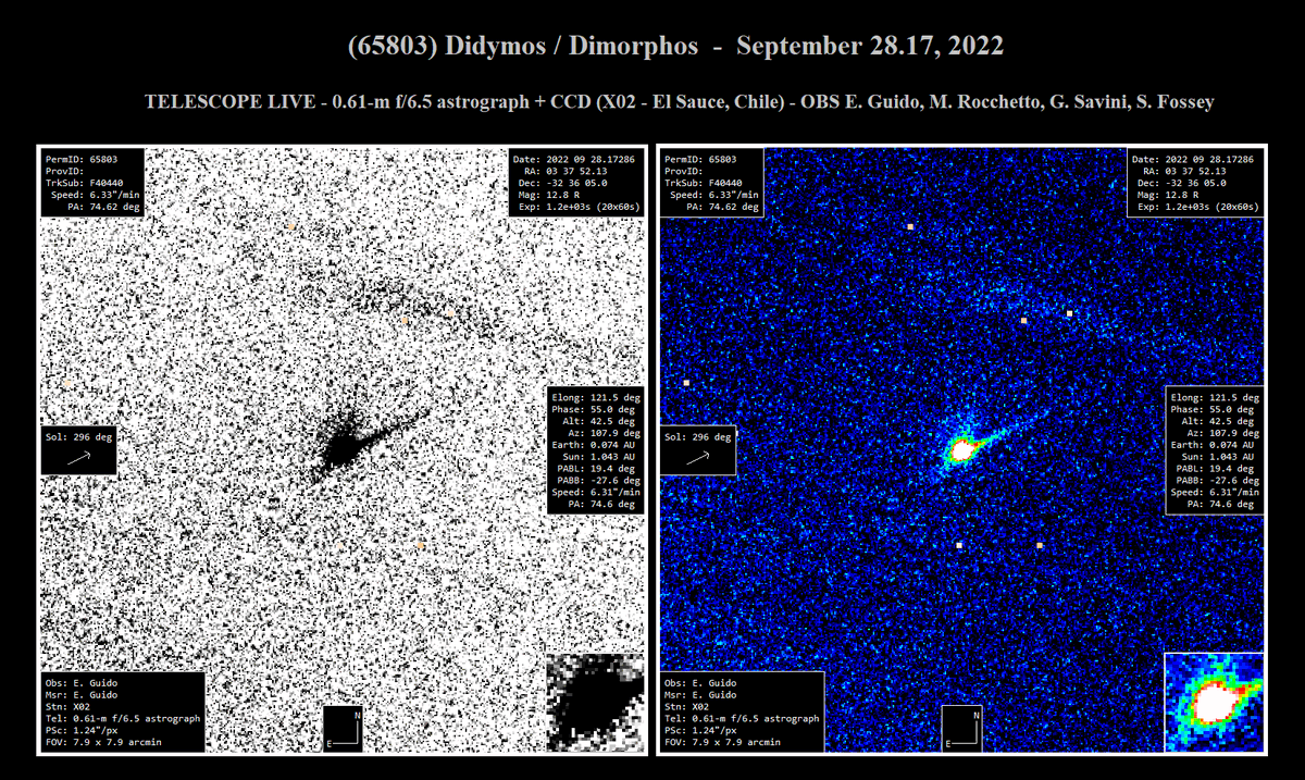 Ernesto Guido (@comets77) on Twitter photo New image of the Didymos/Dimorphos with a 0.61-m telescope via <a href="/TelescopeLiveHQ/">Telescope Live Observatory</a> on Sept 28.17 (∼29 hours after impact) shows a beautiful narrow tail 80" long toward PA 295. OBS E. Guido, M. Rocchetto, <a href="/UCLOAstroSphinx/">Giorgio Savini</a> <a href="/sjfossey/">Steve Fossey</a> cc <a href="/LICIACube/">LICIACube</a> <a href="/elakdawalla/">Emily Lakdawalla</a> <a href="/NASA/">NASA</a> #DART #DARTsmash New image of the Didymos/Dimorphos with a 0.61-m telescope via <a href="/TelescopeLiveHQ/">Telescope Live Observatory</a> on Sept 28.17 (∼29 hours after impact) shows a beautiful narrow tail 80" long toward PA 295. OBS E. Guido, M. Rocchetto, <a href="/UCLOAstroSphinx/">Giorgio Savini</a> <a href="/sjfossey/">Steve Fossey</a> cc <a href="/LICIACube/">LICIACube</a> <a href="/elakdawalla/">Emily Lakdawalla</a> <a href="/NASA/">NASA</a> #DART #DARTsmash