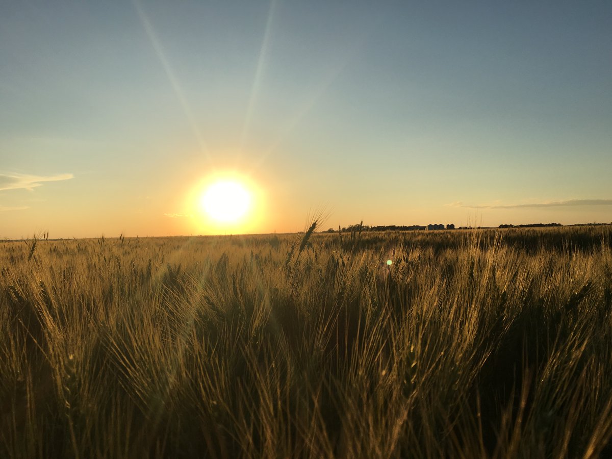 MBGovAg's tweet photo. Global population growth is expected to reach 10 billion by 2050, and there is increasing consumer and ecological demand for #SustainableProtein. Project ASPIRE is working to create sightlines to sustainability. Learn more at https://t.co/bp9cfOAJwa. #MBProteinAdvantage https://t.co/PsUvhPUVbh