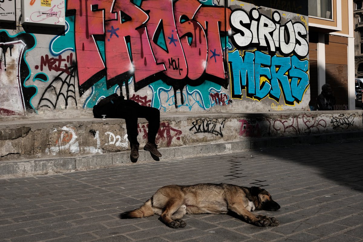 <a href="/LordTruffington/">Lord Truffington</a> #TruffArtshare 

<a href="/gokhanarer/">GokhanArer.eth / 5th SPi Awards (2022) Winner 🏆</a> <a href="/mharmanlikli/">Murat Harmanlikli</a> <a href="/vuralyalim/">Yalım Vural 💧</a>