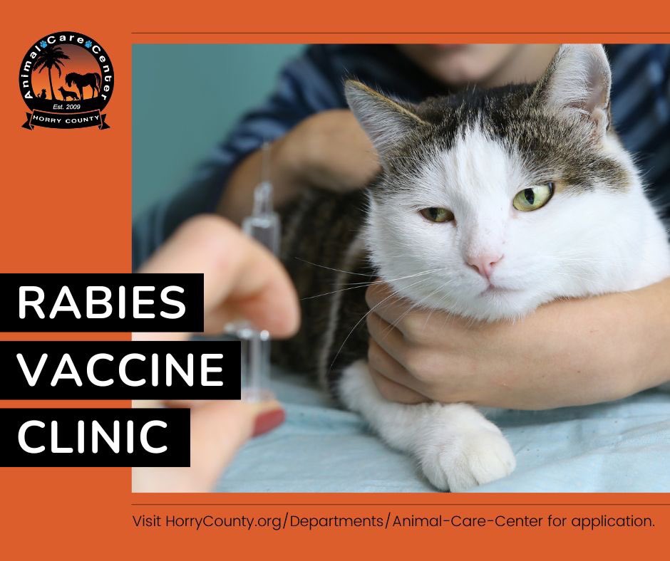 hcaccadoptions's tweet photo. RABIES VACCINE CLINIC - TODAY 💉

In recognition of #WorldRabiesDay, the #HCACC is holding a rabies vaccine clinic TODAY from 10 a.m. to 2 p.m. at the shelter (1923 Industrial Park Road, Conway, S.C. 29526).

During the clinic, the one-year rabies vaccine costs just $10 each. https://t.co/64CAISxIfX