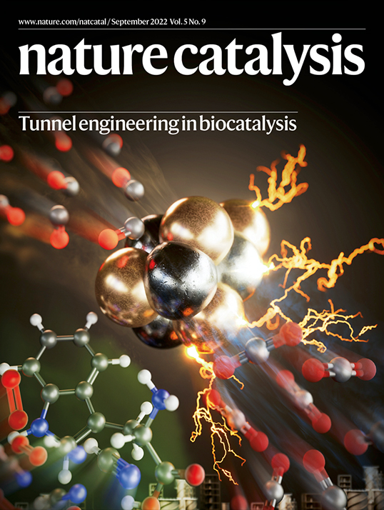 Our Sept issue: • Axial chirality via metallaphotoredox catalysis • Methanol synthesis on Cu single atoms • Targeting products in nitrite electroreduction • Reviews: ensemble effects in heterogeneous catalysis and high-throughput genome editing & more go.nature.com/3SGDDhI