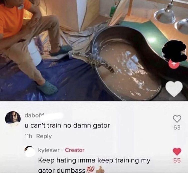 [Image: Fdw-Kn7XwAQKp_D?format=jpg&name=900x900]