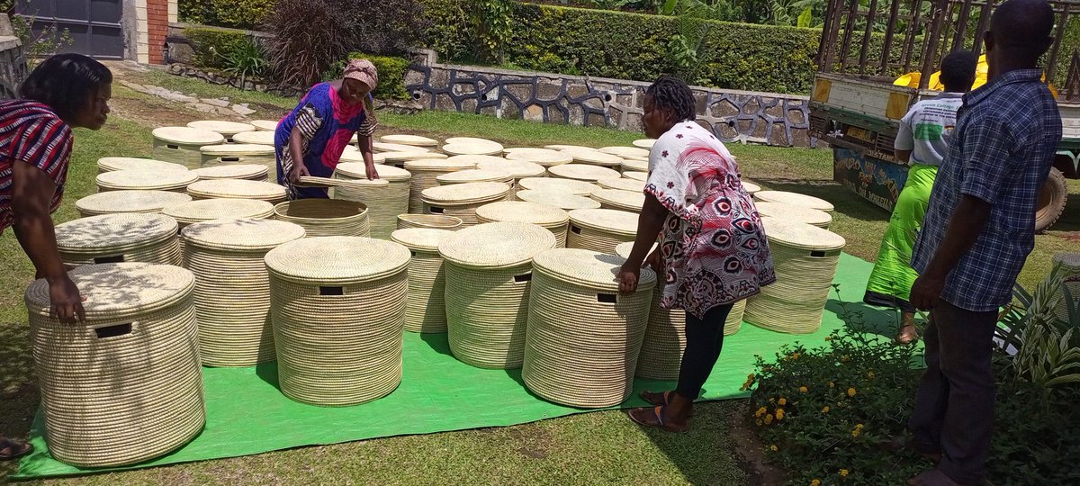tooro_gallery's tweet photo. Today we picked these beautiful baskets from villages to our consolidation centre. 

This shipment leaves for Norway in December. 

Remember every piece is unique and helps change our lives. 
#handmadebaskets https://t.co/heFW14sK15