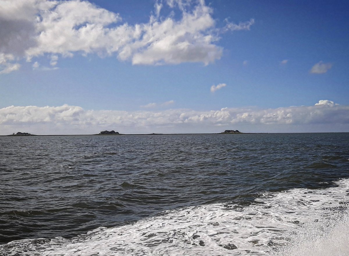 _weernl's tweet photo. De bewoners van de bijzondere terpeilanden, de 'Halligen' in de Duitse Waddenzee, vrezen de gevolgen van de klimaatverandering. Hun woonplek staat op het spel. https://t.co/PxFcT5lLNE #weer #wadden #halligen #klimaatverandering https://t.co/TwkWGQCVoc