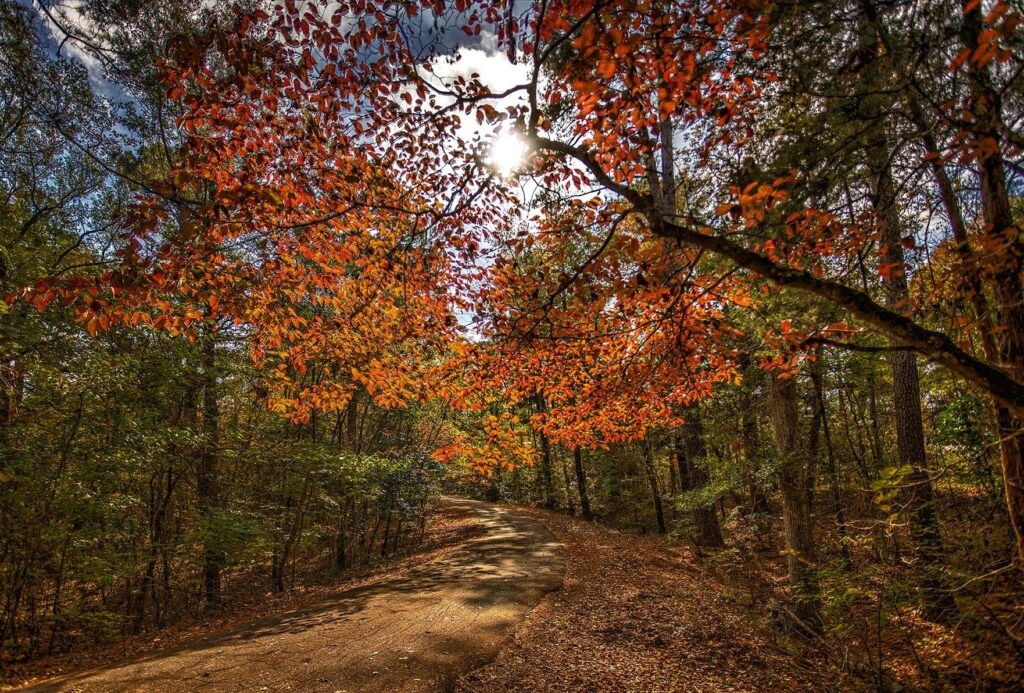 TXEyeLaser's tweet photo. FALL in Love with your new vision by calling us today and see what options are available to get rid of your glasses and contacts 817-803-6106 #fallinlovewithyourvision https://t.co/ff2aaLxled