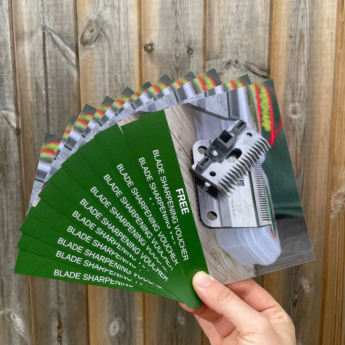 Clippersharp's tweet photo. FREE Blade Sharpening voucher with every clipper or trimmer purchased from 1st October 2022 🫣🎉 For the best clipper offers, tips and information head to https://t.co/mRSPQioRgY ✂️

T&amp;Cs Apply, please note this offer begins on 01/10/22 🐎 https://t.co/1ow7Ik4cht