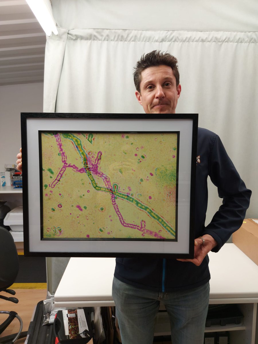 SoilBioLab's tweet image. Excited to be joining @SoilsAlliance at their fundraising event @yeovalley on Thursday 29th September. 
SSA lead an important mission. It&apos;s a privilege to contribute to the event - check this beauty that @peat_free is holding that you can bid online for app.galabid.com/yeovalleyfundr…