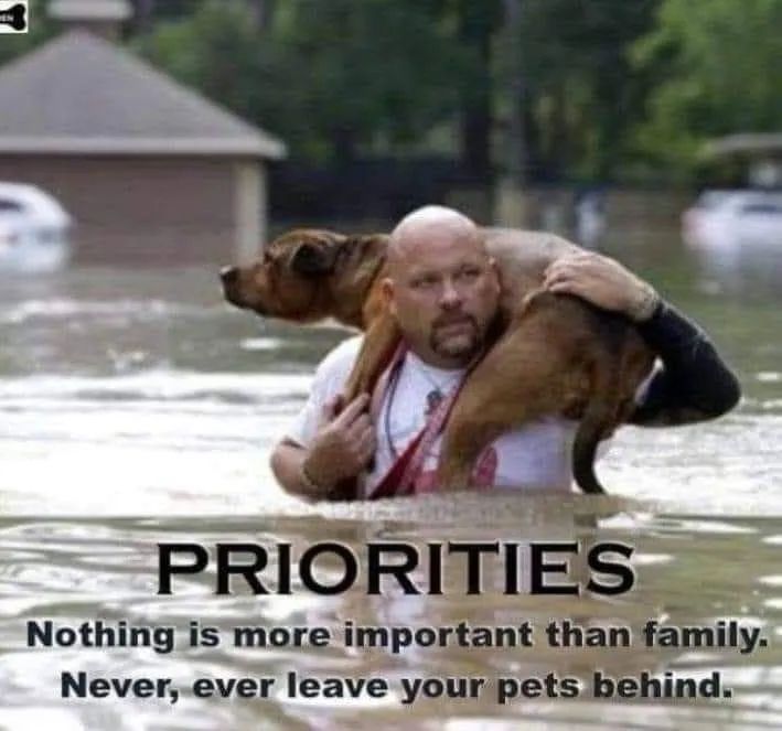 takerkelly's tweet photo. Don't be a dick and leave your dog to die a slow, painful death...

Be like this guy 

#IanHurricane #Ian2022 #HurricanIan https://t.co/9OEhasV19Y