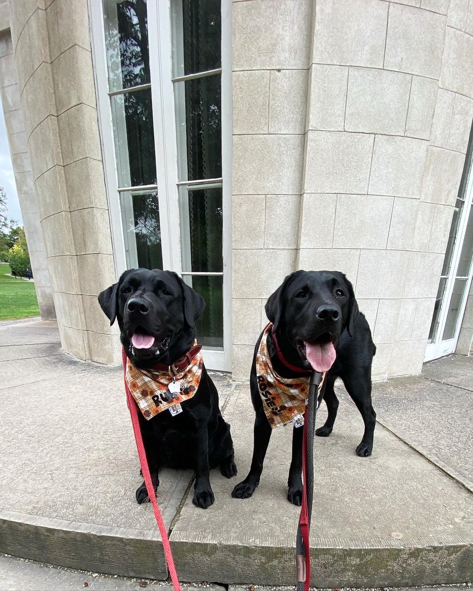 HenryTheChocLab's tweet photo. Lady Ruby & Lady Rosie at Dundurn Castle 🏰 #QueensOfTheCastle #DogsOfTwitter #RubyAndRosie #BandanasByPapabar https://t.co/WxMfh0NvNj