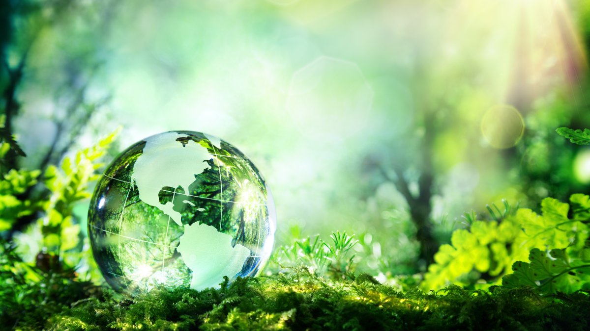 CollegeOptomUK's tweet photo. We're proud to support this year's #SEESummit & its aim to increase awareness & engagement with environmental sustainability. Join others across the eye care profession & gain further insight into how the optical community is going green.
ποΈ 7pm, 3 Oct
β‘οΈ https://t.co/cdmga1tC0U https://t.co/uGigeBOLu9
