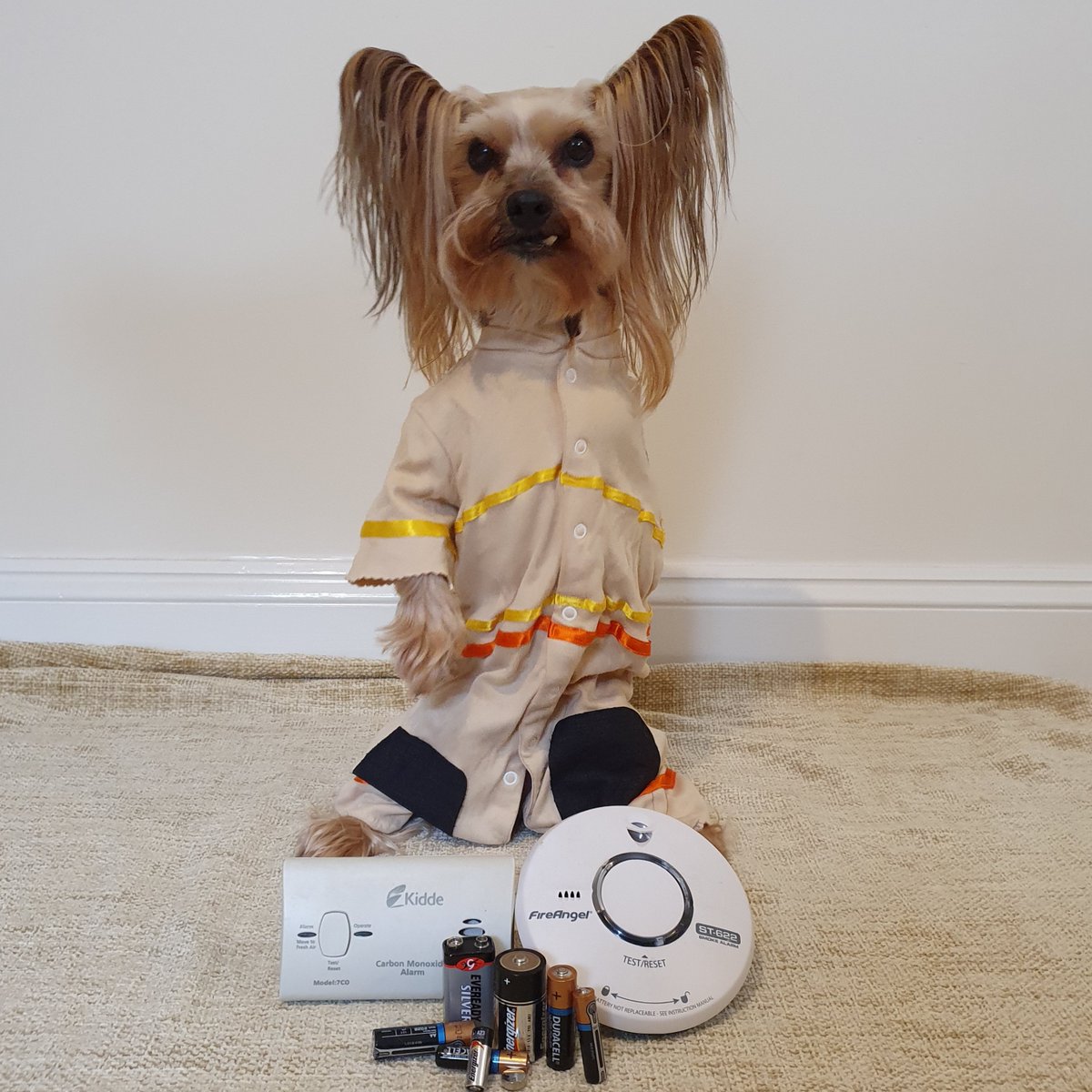 I hopes yous nose what day it do be!

Times to #PushTheButton & #PressToTest yous Smoke & Carbon Monoxide Alarms as it do be #TestItTuesday

#MrPels #BarkshireFirefighter #firesafety #FireSafetyTips