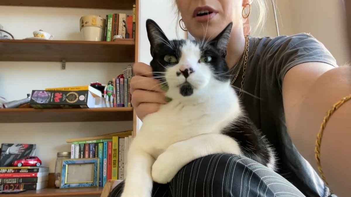 SmoshMini tweet picture