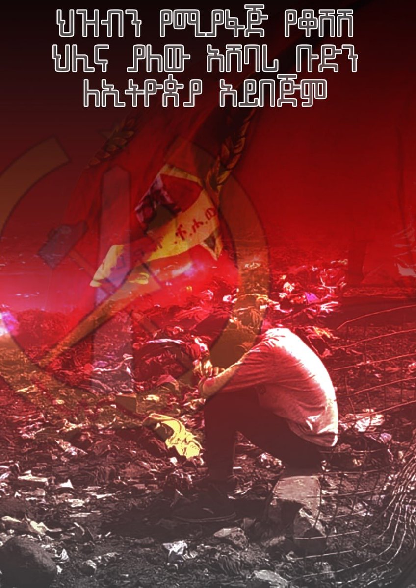EthiopiaListen's tweet photo. The moment will undoubtedly come when the world learns about the TPLF's systematic murder of people in Ethiopia. #FakeTigrayGenocide #DisarmTPLF @EUSR_Weber @SFRCdems @SenateForeign @HouseForeign @hr  @JosepBorrellF @StateDept @FCDOGovUK https://t.co/W2etQnYfB3