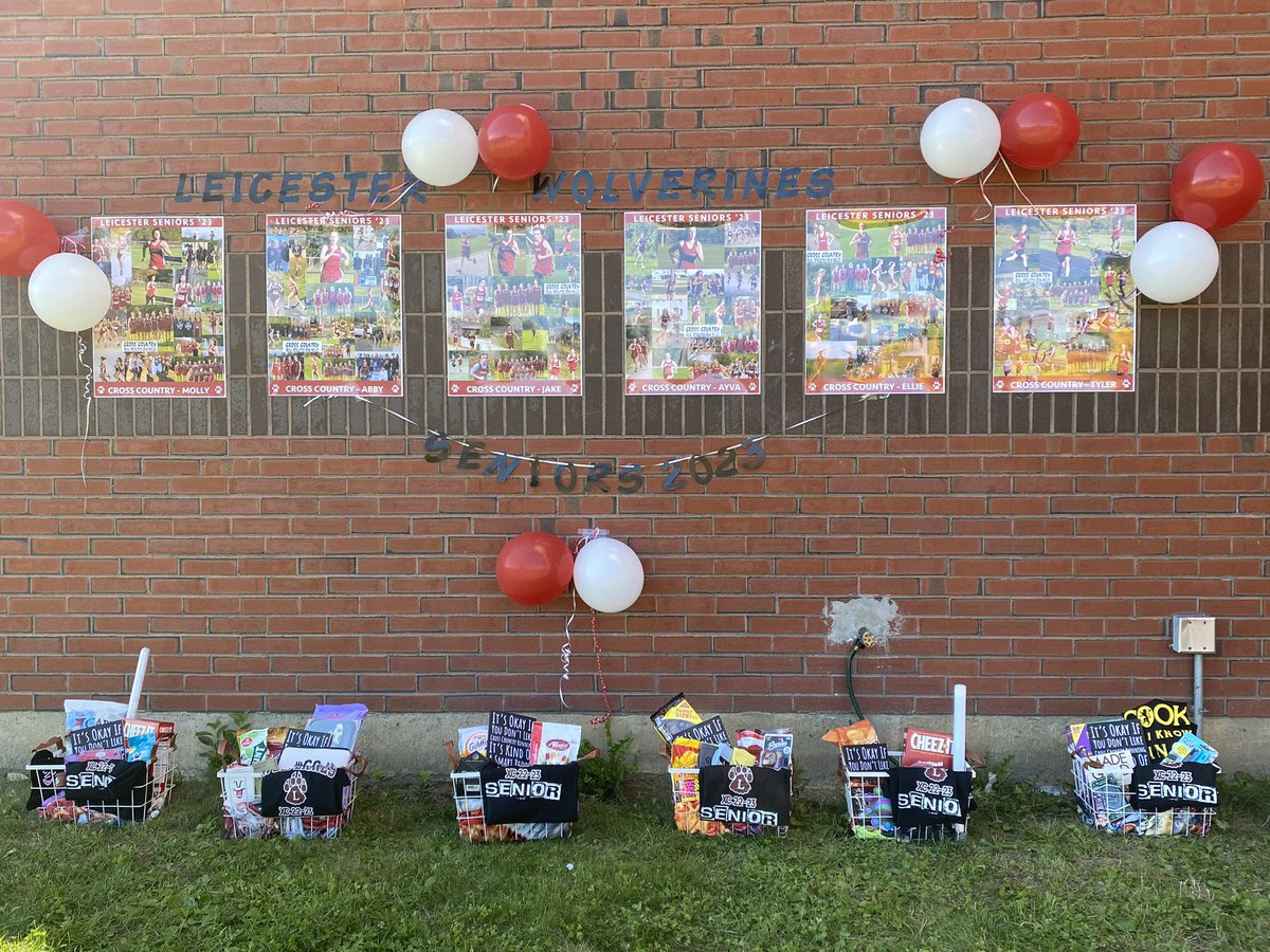 Steph Bernabei tweet media