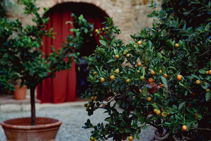 Italy #italy #wine #Autumn https://t.co/baKlGLq4Gq<a href="/tag/italy"class="tags">#italy</a><a href="/tag/wine"class="tags">#wine</a><a href="/tag/autumn"class="tags">#Autumn</a>