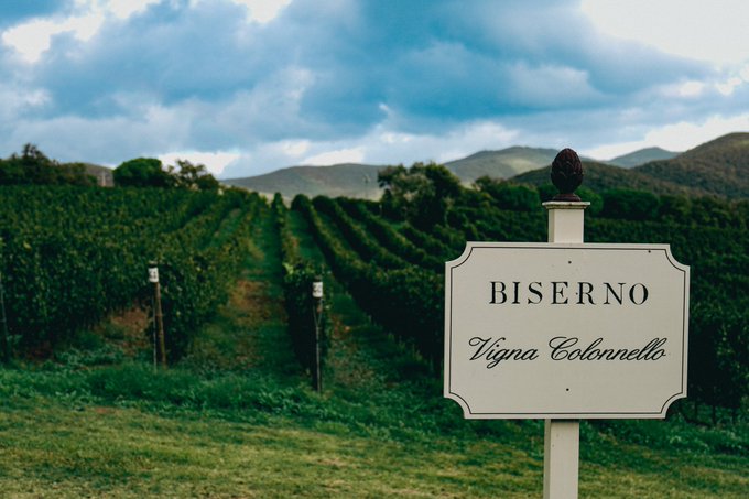 Italy #italy #wine #Autumn https://t.co/baKlGLq4Gq<a href="/tag/italy"class="tags">#italy</a><a href="/tag/wine"class="tags">#wine</a><a href="/tag/autumn"class="tags">#Autumn</a>