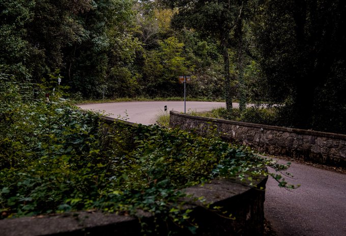 Italy #italy #wine #Autumn https://t.co/E5PI5tTqkC<a href="/tag/italy"class="tags">#italy</a><a href="/tag/wine"class="tags">#wine</a><a href="/tag/autumn"class="tags">#Autumn</a>