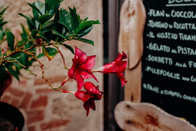 Italy #italy #wine #Autumn https://t.co/E5PI5tTqkC<a href="/tag/italy"class="tags">#italy</a><a href="/tag/wine"class="tags">#wine</a><a href="/tag/autumn"class="tags">#Autumn</a>