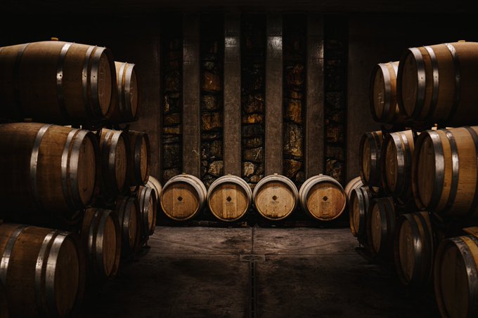 Wine Paradise #wine #italy https://t.co/FX7PHSrn3X<a href="/tag/wine"class="tags">#wine</a><a href="/tag/italy"class="tags">#italy</a>