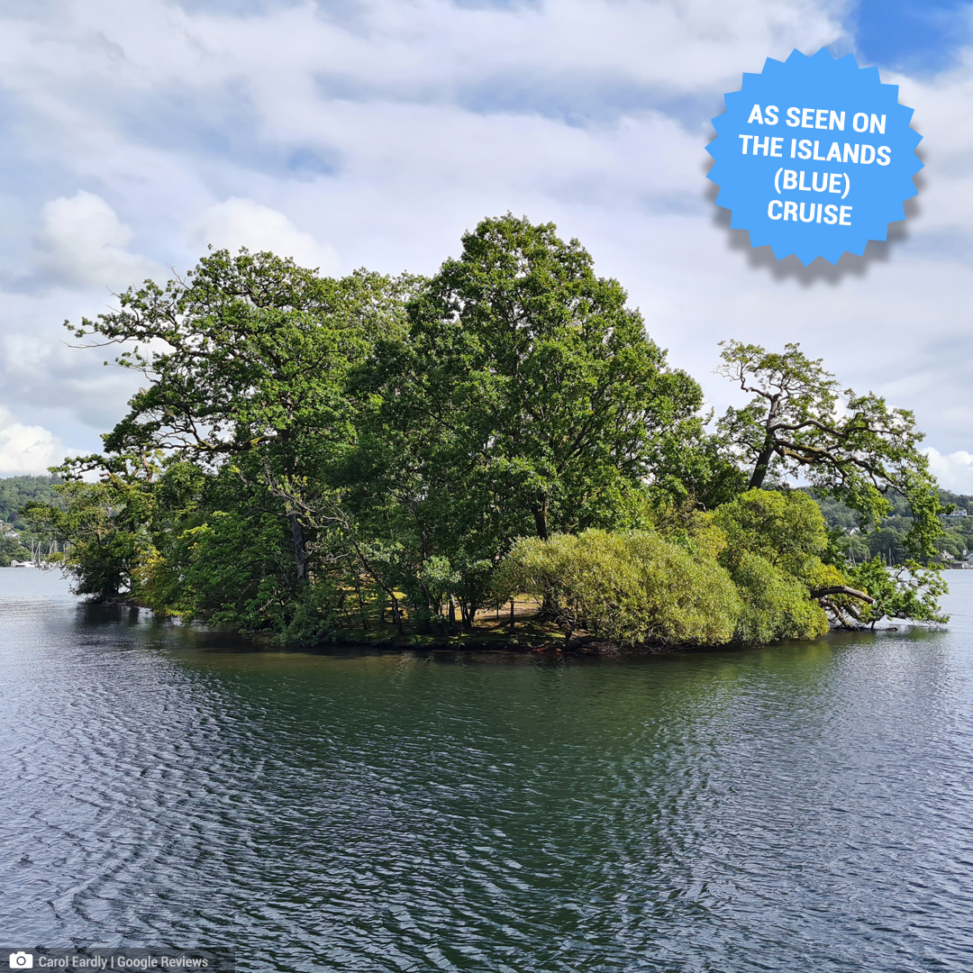 Windermereboats's tweet photo. Turns out our Blue (Islands) Cruise is actually quite green.

📷: Customer Carol Eardly  (Aug 22)

#islandscruise #storrshall #claifeviewingstation https://t.co/PzUS0SxjiK