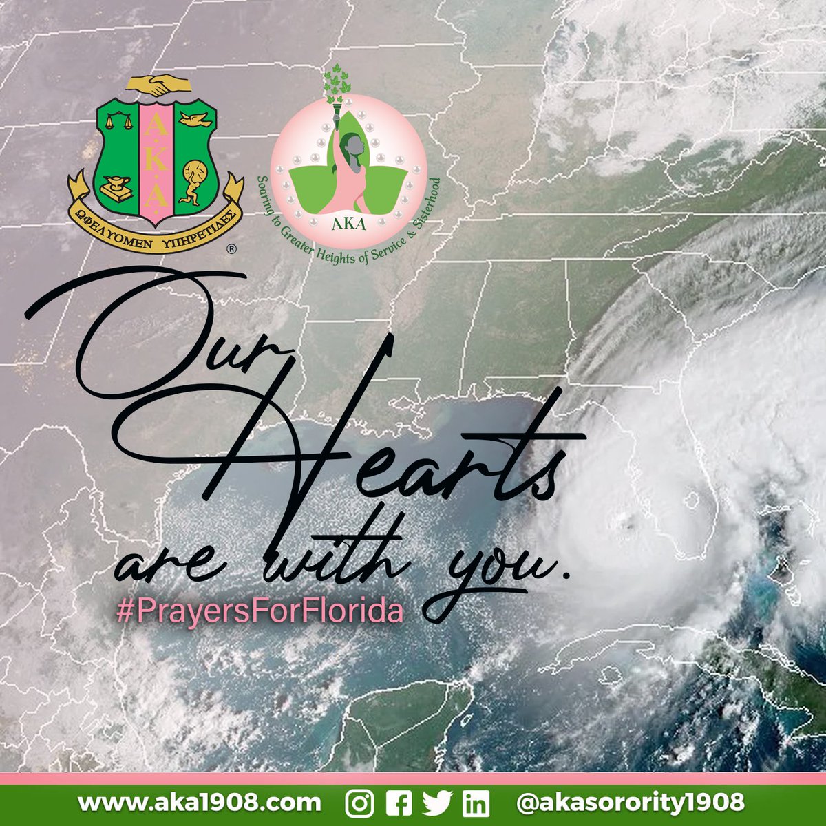 Alpha Kappa Alpha tweet media