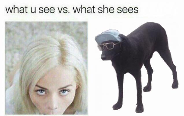 ShitpostBot5000's tweet photo. https://t.co/ZX1guKQCcY