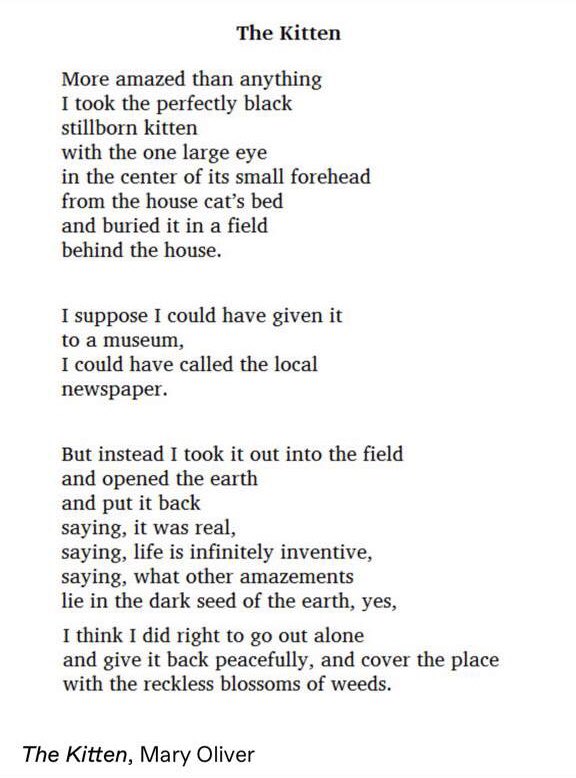 the moon’s wife tweet media