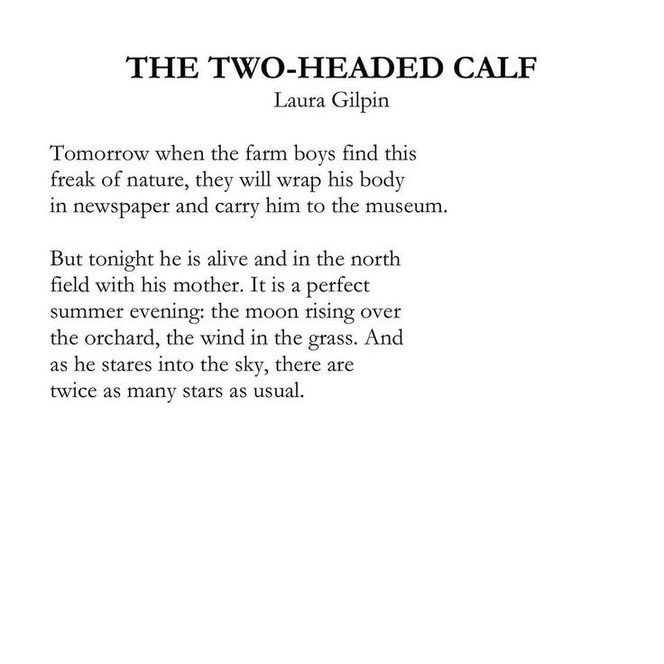 the moon’s wife tweet media