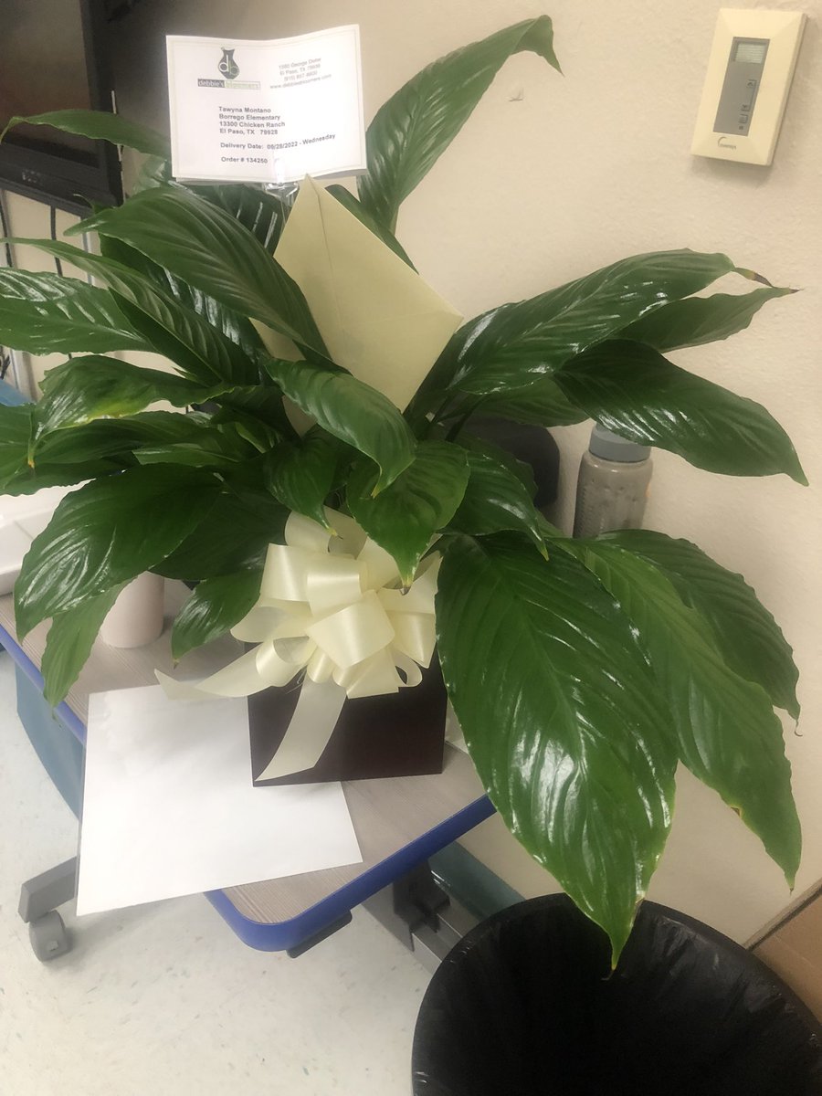 MsMontanoMusic's tweet photo. Thank you to my Borrego family for the beautiful plant and the loving words. ❤️ #MissingMyMomma #TheRestOfUs #SpecialtyTeachers #FirstDayBackAtWork https://t.co/poLzVO4pwp