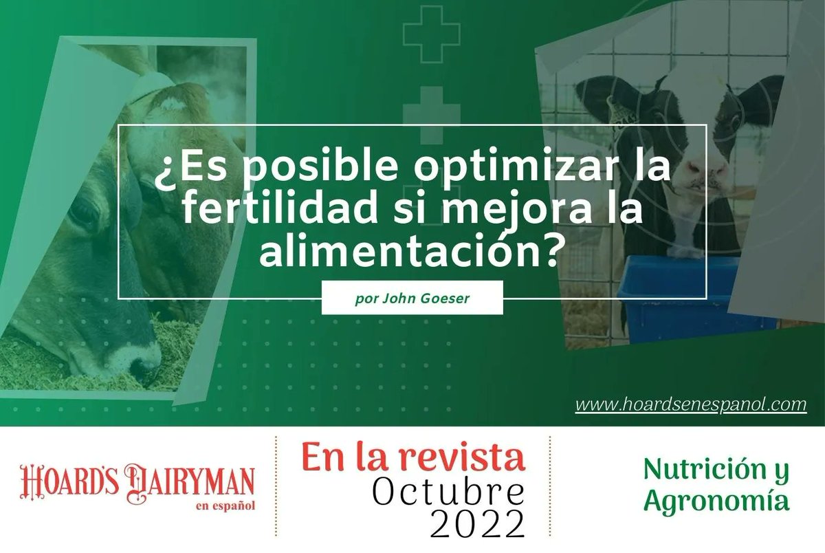 hoardsenespanol's tweet photo. Lee este artículo en la revista de octubre 2022 de Hoard’s Dairyman en español. Suscríbete en https://t.co/nwGoTGQRhx o escríbenos a suscripciones@hoardsenespanol.com

#revistalechera #hoardsenespanol #industrialechera #ganaderia #vacas #vacaslecheras #establolechero #establo https://t.co/YIEbF3YhFH