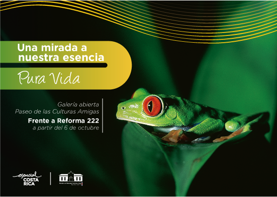 Anuncia @Visit_CostaRica que el 6 de octubre abrirá la exposición fotográfica “Una Mirada a Nuestra Esencia Pura Vida' frente a Reforma 222. #PURAVIDA