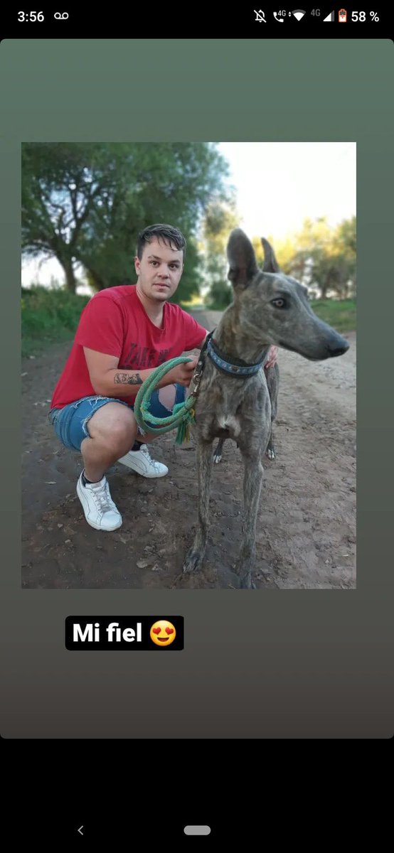 En los días que me sentía solo y triste , salía con mi amigo mi compañero a caminar a jugar con la botella  pero ahora estás lejos  te fuiste a demostrar q vas hacer el mejor del país , vales más que miles de personas , fiel y compañero como vos nunca más perdóname bicho