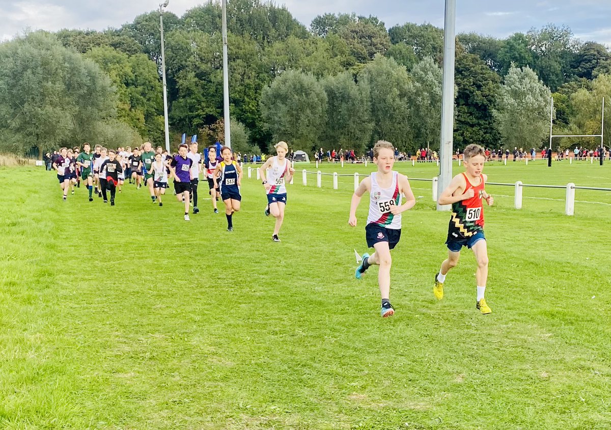 WGS Sport tweet media